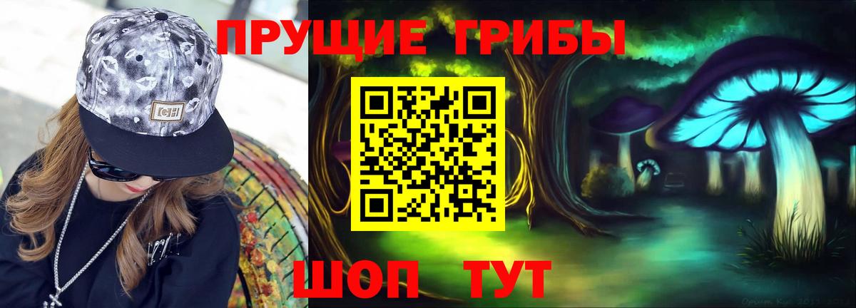 Качканар  Галлюциногенные грибы GOLDEN TEACHER  Вход с VPN 